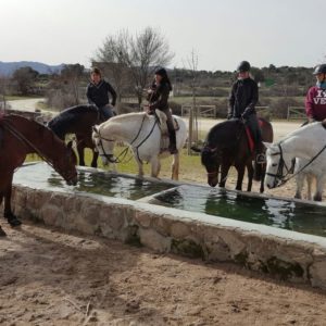 Las Nieves Club Hipico Madrid Rutas a caballo Hommter 2