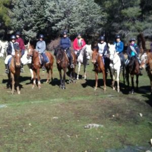 Las Nieves Club Hipico Madrid Rutas a caballo Hommter