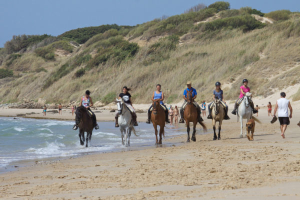 Rutas a caballo por las dunas en Tarifa, Cádiz, España