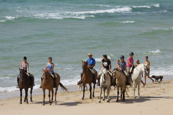 Rutas a caballo por las dunas en Tarifa, Cádiz, España