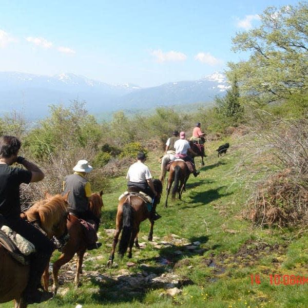 Rutas a caballo 2h El Boalo, Sierra de Madrid, España