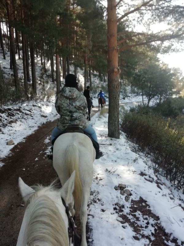 Ruta a caballo, Madrid, Sierra de Guadarrama y Parque Nacional, España