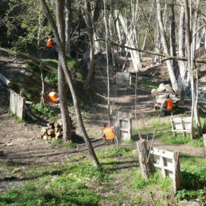 paintball 2