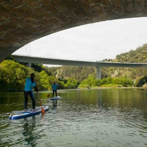 paddlesurf interior