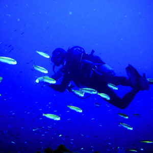 buceo 1