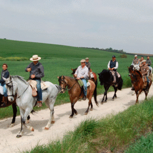 ruta a caballo entre toros y caballos1