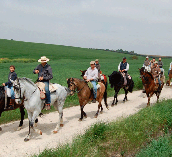 Ruta a caballo 3 horas 'Territorio Lince', Huelva, España