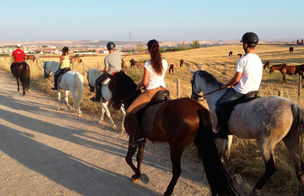 Ruta a caballo por el Bosque de Las Pinedas, Córdoba, España