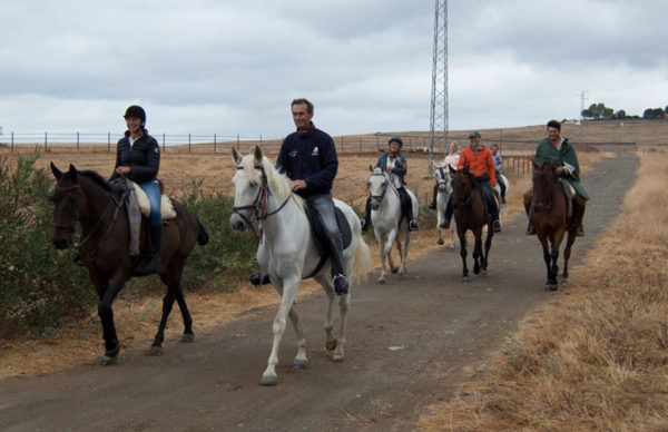 Ruta a caballo por el Bosque de Las Pinedas, Córdoba, España