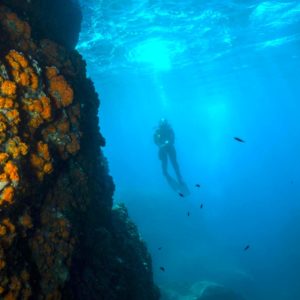 buceo laherradura
