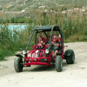 buggies