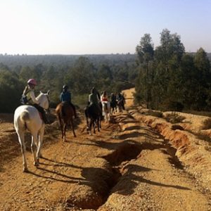ruta caballo huelva