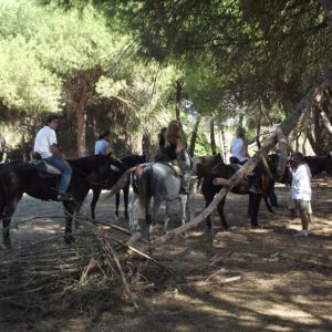 rutacaballo donana