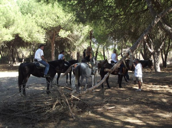 Ruta a caballo 3 horas 'Territorio Lince', Huelva, España