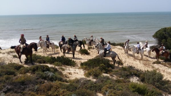 Ruta a caballo completa en Doñana, Huelva, España