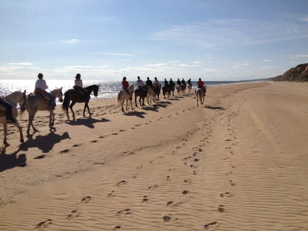 Ruta a caballo completa en Doñana, Huelva, España