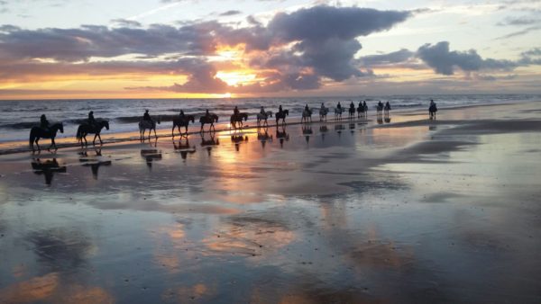 Ruta a caballo puesta de sol en Doñana, Huelva España