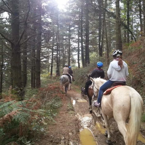 Rutas a caballo en Bedia, Vizcaya, España
