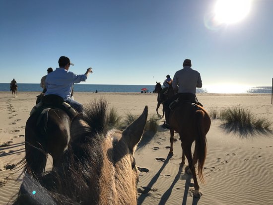 Ruta a caballo al atardecer en Doñana, Huelva, España