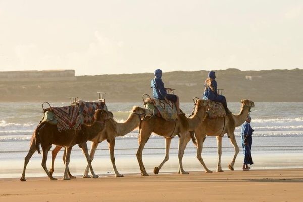 Excursión en camello por Essaouira, Marrakech, Marruecos
