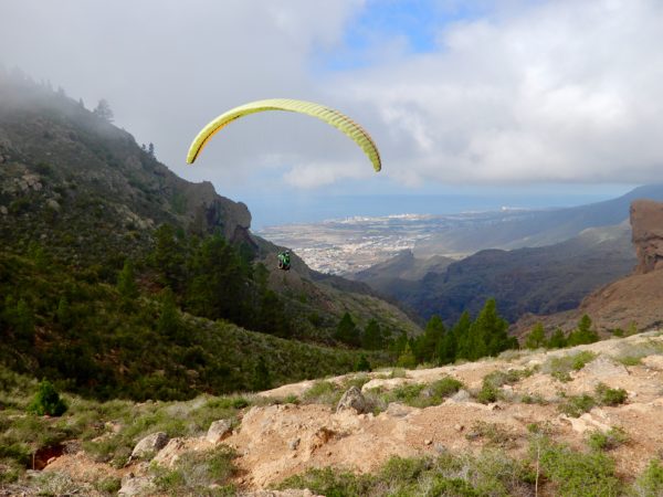 Parapente básico en Ifonche 1.100m, Tenerife, España
