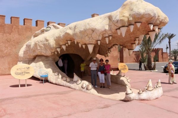 Show de delfines y Cocodrilo park, Marrakech, Marruecos