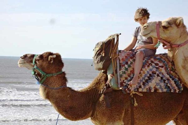 Excursión en camello por Essaouira, Marrakech, Marruecos