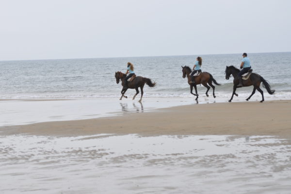 Ruta a caballo, Huelva, España