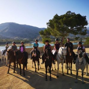 clases caballo alicante hommter 2