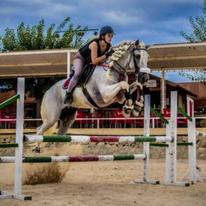 clases caballo alicante hommter 3