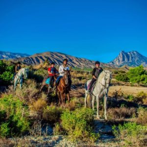 clases caballo alicante hommter 6