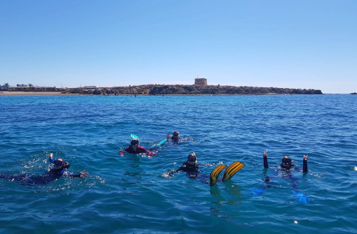 Inmersión en Reserva Marina Isla Tabarca, Alicante