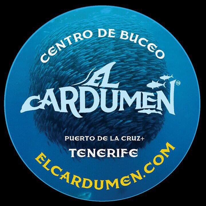 El Cardumen