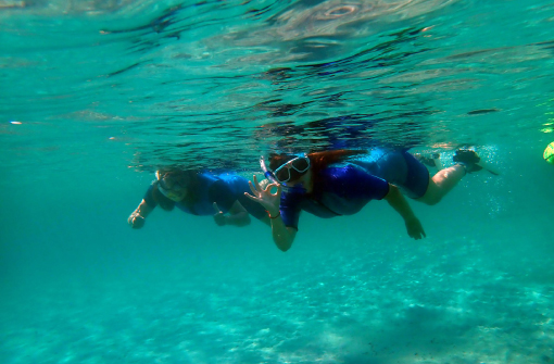 Excursión Snorkel en Isla de Tabarca, Alicante